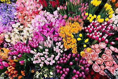 XGP十二月新增游戏阵容 《夺宝奇兵》等